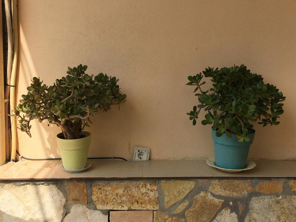 Villa Olivia Grove Himare Luaran gambar